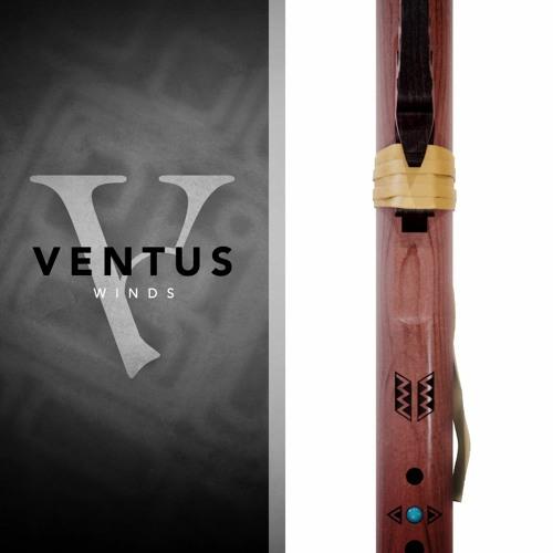 وی اس تی فلوت Impact Soundworks Ventus Native American Flutes